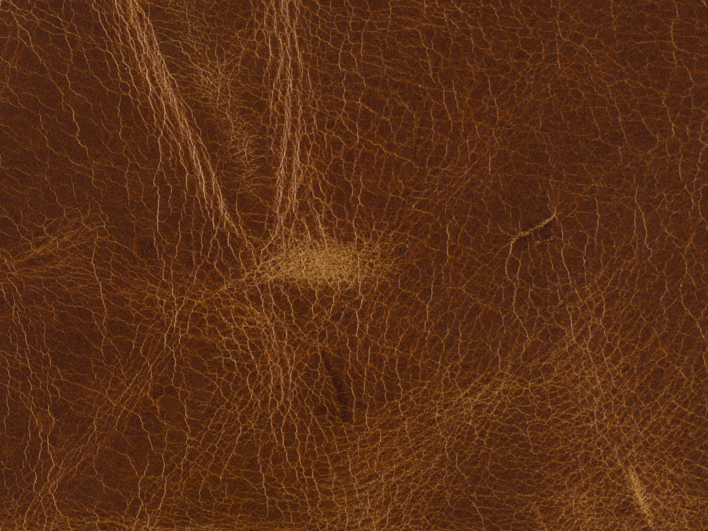 Hooker Furniture Living Room Yates Stationary Sofa