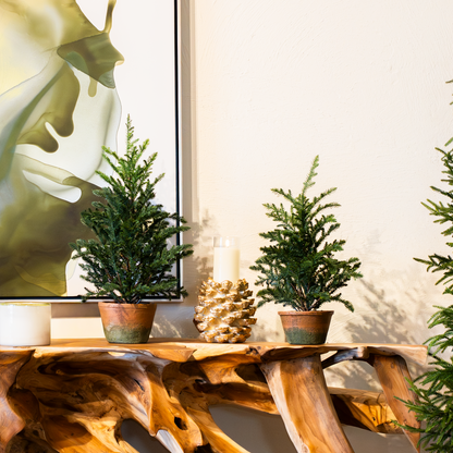 Pine Tree In Clay Pot (21"+ 25")