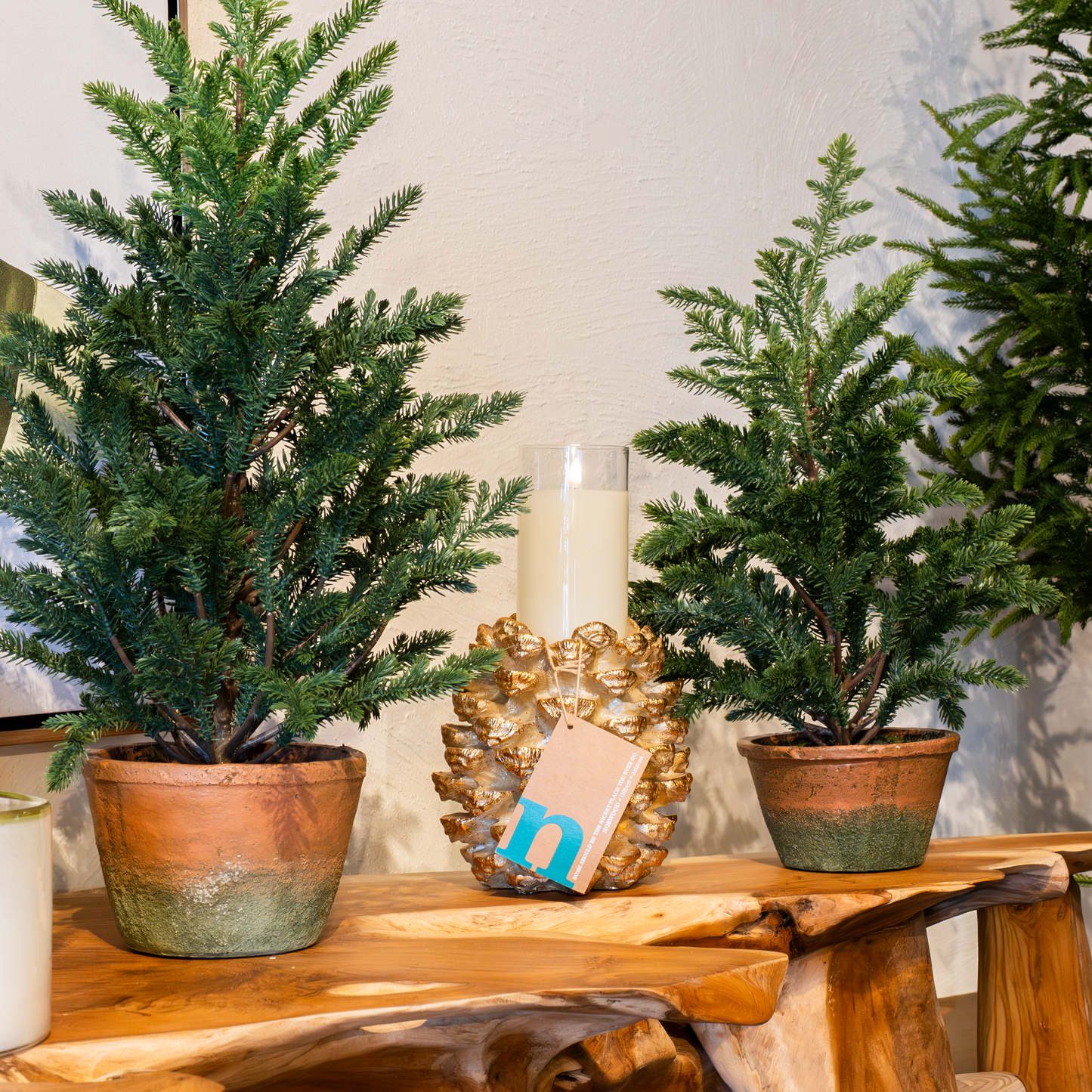 Pine Tree In Clay Pot (21"+ 25")