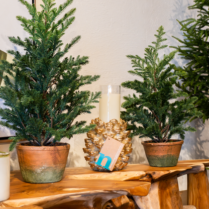 Pine Tree In Clay Pot (21"+ 25")