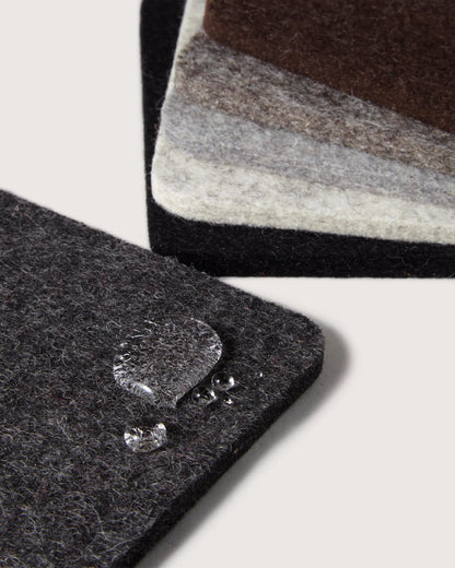 Bierfilzl Merino Wool Square Coasters  (Multi 6 Pack)