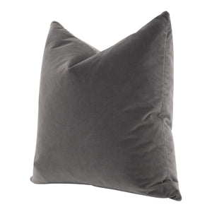 The Basic 22" Essential Pillow in Dove Velvet -Set of 2