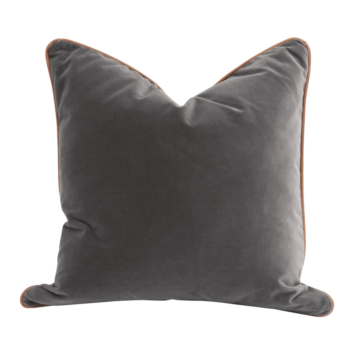 The Not So Basic 20" Essential Pillow - Set of 2